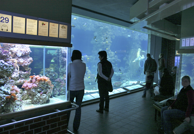 Meeresmuseum Stralsund